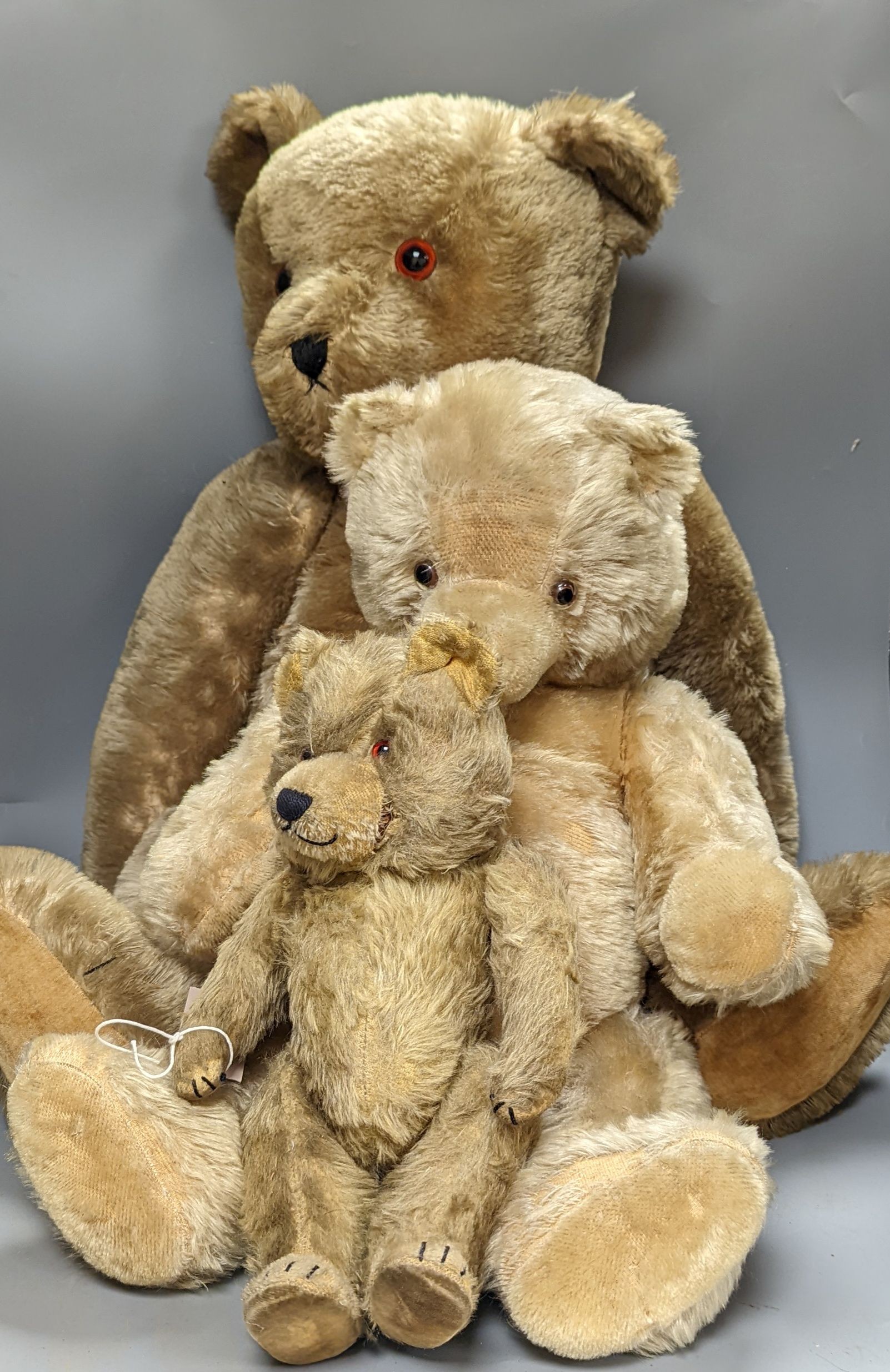 A large English teddy bear and two other teddy bears